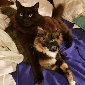 Meet your Posher, Michelle